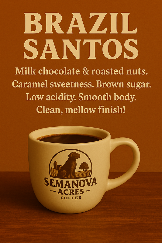 Brazil Santos